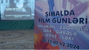 “Şimalda kino günləri” layihəsi başa çatıb