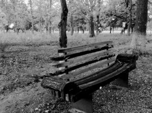 REDAKSİYANIN PO&Ccedil;TUNDAN &ndash; &ldquo;Boş skamya&rdquo; hekayəsi