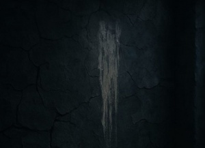 Soyuq divarların i&ccedil;ində yaşayıb &ouml;lmək - ESSE