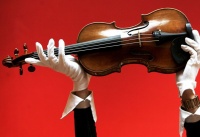 B&ouml;y&uuml;k Stradivarinin m&uuml;əllimi, Əlillər G&uuml;n&uuml;, Animatorların bayramı...