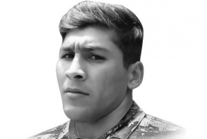 Şəhidlər barədə şeirlər - Elməddin Həsrətov