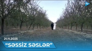 Represiya, işğal və mənəvi &ccedil;ətinliklər- &ldquo;Səssiz səslər&rdquo;