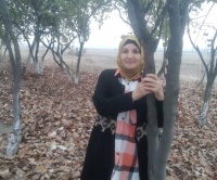 Redaksiyanın poçtundan - Mina Rəşidin şeirləri