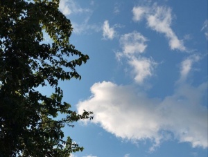 G&ouml;y &uuml;z&uuml; hər yerdə eyni idi..