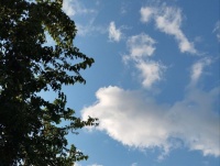 G&ouml;y &uuml;z&uuml; hər yerdə eyni idi..