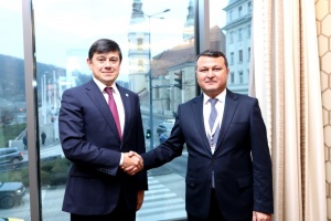 Azərbaycanın diaspor təcrübəsi yüksək qiymətləndirilib