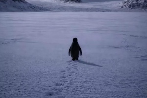 Nihilist Pinqvin: Tənha bir gedişin d&ouml;vr&uuml;m&uuml;zə tutduğu g&uuml;zg&uuml;