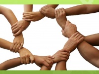 &Ouml;z se&ccedil;imlərimiz, yoxsa k&uuml;tlənin əks-sədası?