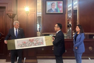 Milli Məclisdə Azərbaycan&ndash;&Ccedil;in əməkdaşlığına dair g&ouml;r&uuml;ş ke&ccedil;irilib