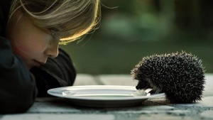Bu g&uuml;n &Uuml;mumd&uuml;nya Yaxşılıqetmə G&uuml;n&uuml;d&uuml;r