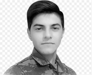 Şəhidlər barədə şeirlər – Pərviz Novruzov