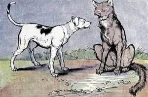 &ldquo;Maraqlı s&ouml;hbətlər&rdquo;də ibrətamiz alleqoriya