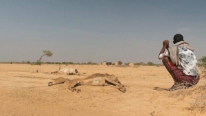 Günün fotosu: Afrika quraqlıqdan can verir