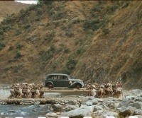 Maraqlı söhbətlərdə Hitler və Nepal kralı