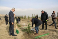 Mədəniyyət Nazirliyinin ağacəkmə aksiyası