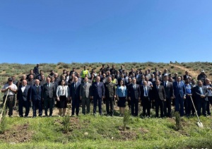 Beyləqanda &ldquo;Şəhərsalma və Memarlıq İli&rdquo; &ccedil;ər&ccedil;ivəsində ağacəkmə aksiyası ke&ccedil;irilib