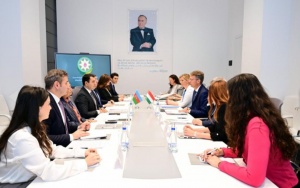 Azərbaycan ilə Macarıstan arasında mədəniyyət sahəsində əməkdaşlıq əlaqələri m&uuml;zakirə olunub