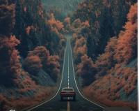 &Ouml;l&uuml;m sa&ccedil;an yol