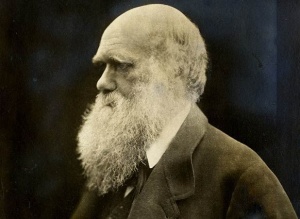 Darvin d&uuml;nyag&ouml;r&uuml;ş&uuml; və ya təkam&uuml;l nəzəriyyəsi.  YANLIŞ BİLİNƏN ARAKE&Ccedil;İD D&Ouml;VR&Uuml;