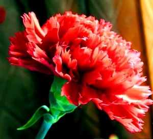 İki milli qəhrəmanımızın doğum g&uuml;n&uuml;d&uuml;r - ŞƏRƏFLƏ ANIRIQ!