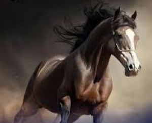 Azərbaycan folklorunda at kultu