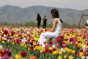 Qarayaz d&ouml;vr&uuml; G&uuml;ləyaz d&ouml;vr&uuml;nə ke&ccedil;di