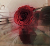 Niyə yadsan &ouml;z&uuml;nə? - ESSE