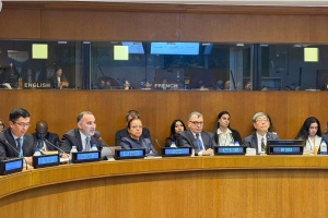 &ldquo;ASAN xidmət&rdquo; BMT-nin Ekspertlər Komitəsinin sessiyasında m&uuml;zakirəyə &ccedil;ıxarıldı